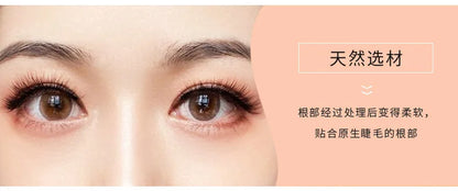 3D Natural Reusable Magnetic Eyelashes